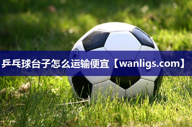 乒乓球台子怎么运输便宜