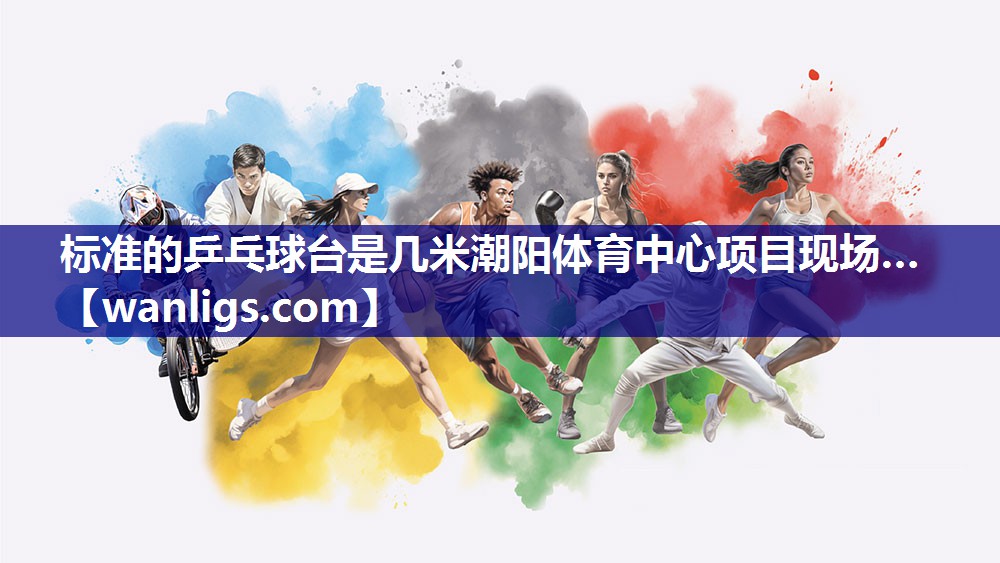 标准的乒乓球台是几米潮阳体育中心项目现场…