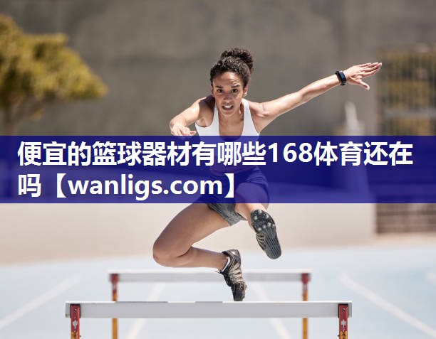 便宜的篮球器材有哪些168体育还在吗