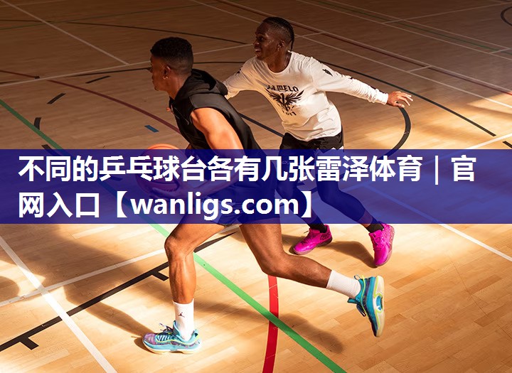 不同的乒乓球台各有几张雷泽体育｜官网入口