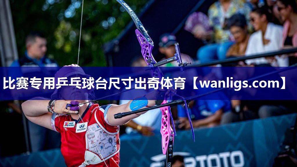 比赛专用乒乓球台尺寸出奇体育