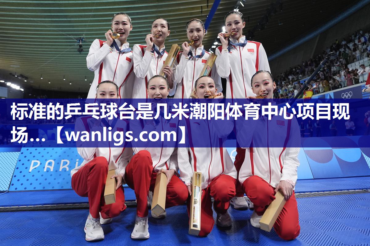 标准的乒乓球台是几米潮阳体育中心项目现场…