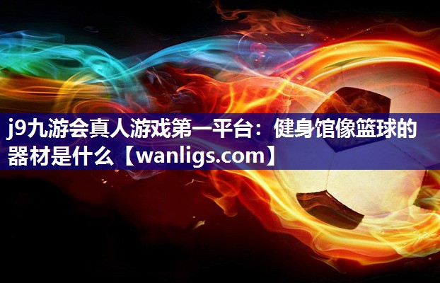 健身馆像篮球的器材是什么