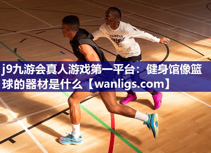 健身馆像篮球的器材是什么