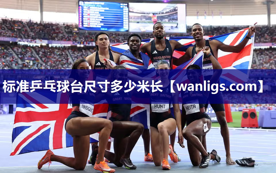 标准乒乓球台尺寸多少米长