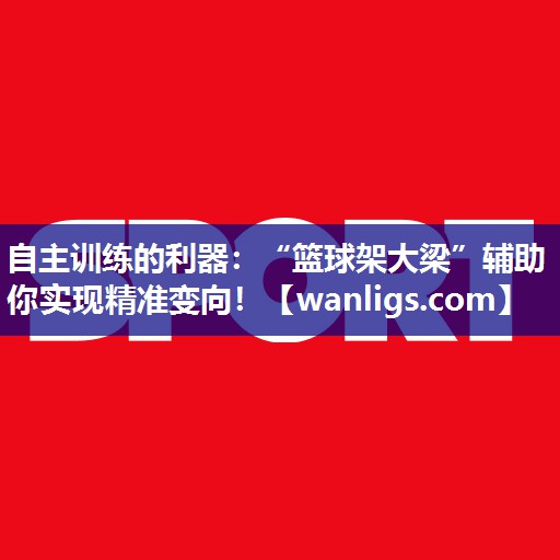 自主训练的利器：“篮球架大梁”辅助你实现精准变向！