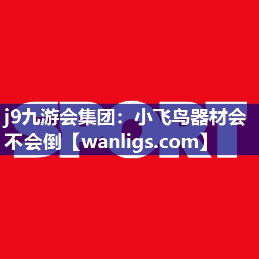 小飞鸟器材会不会倒