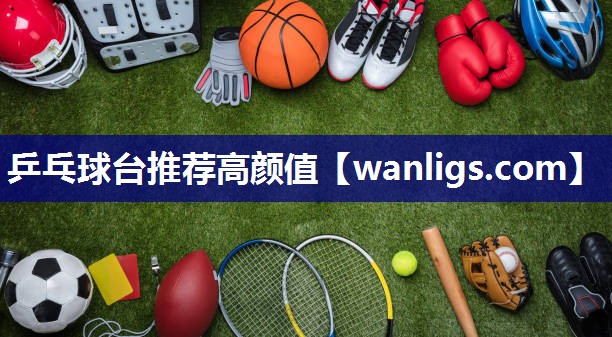 乒乓球台推荐高颜值