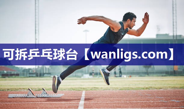 可拆乒乓球台