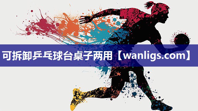 可拆卸乒乓球台桌子两用