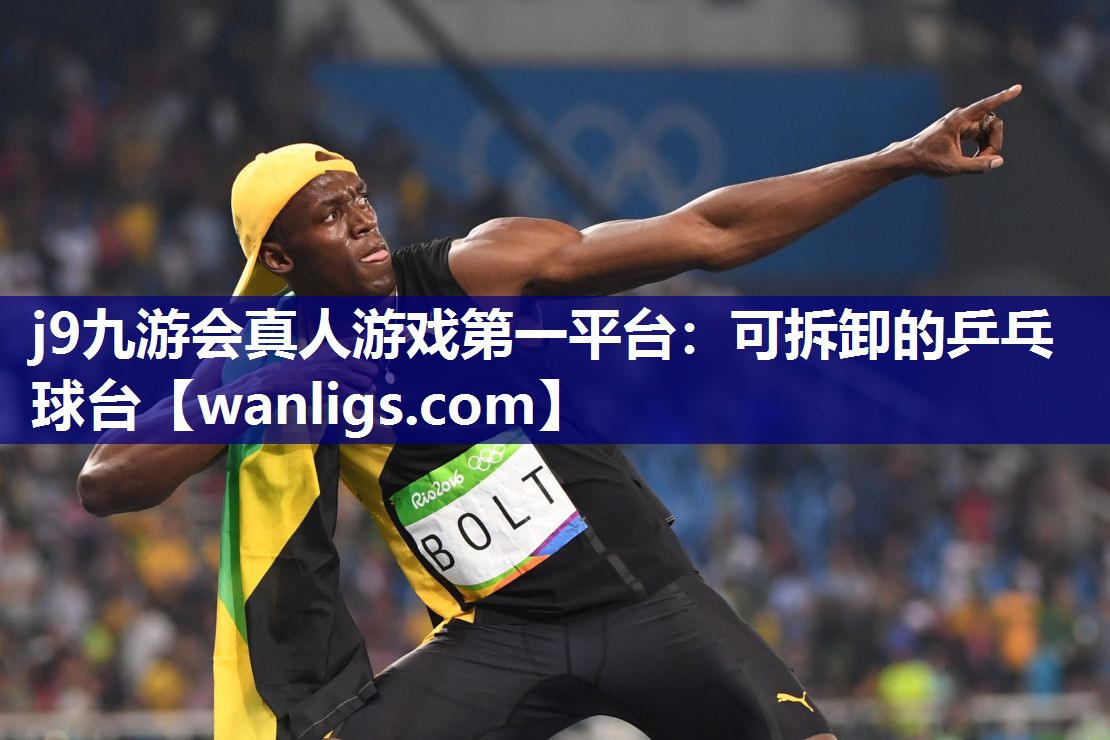 可拆卸的乒乓球台