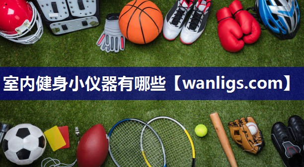室内健身小仪器有哪些